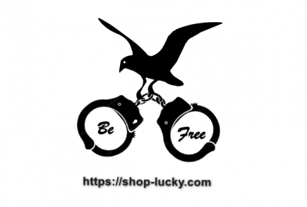 Freedom Wings: Empowering Liberation