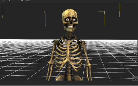 Iclone 8 Skeleton iAvatar Iproject Download