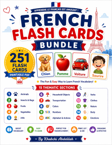 French Vocabulary Flashcards – 251 Cards